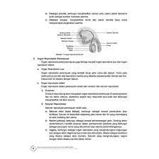 Check spelling or type a new query. Soal Essay Dan Jawaban Tentang Bioteknologi Kelas 9 Jawabanku Id