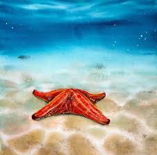 Painting of cave underwater ocean sea coast. Watercolor Sea Turtle Maria Raczynska Watercolors