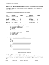 Spongebob genetics answer key / spongebob genetics quiz genotype zygosity. Homozygous Or Heterozygous Worksheet Answers