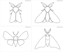 You can use our amazing online tool to color and edit the following moth coloring pages. Free Printable Moth Coloring Pages For Kids Fourcoloring