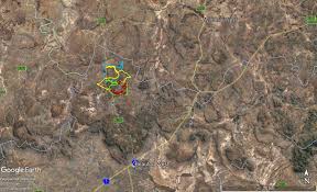 Image result for Dichilus bainesii