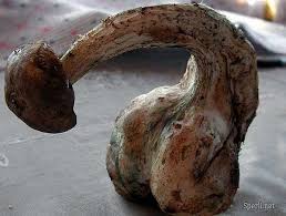 Résultat de recherche d'images pour "мутанты"