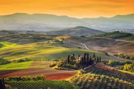 Best wineries in tuscany credit: 10 Best Ways To Taste Wine In Italy Italy Magazine