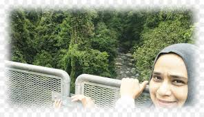 Di sini terdapat titian kanopi sepanjang 950 meter dan setinggi 50 m dari tanah yang merupakan titian terpanjang di dunia. Der Tree Top Walk Sungai Sedim Karanga Subhanallah Png Herunterladen 1889 1075 Kostenlos Transparent Baum Png Herunterladen