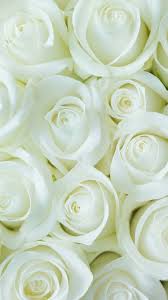 Enjoy and share your favorite beautiful hd wallpapers and background images. Pin On Wallpaperscute