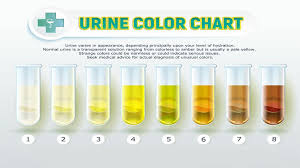 How Urine Color Can Impact Health Womenworking
