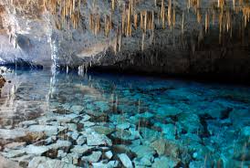 Afbeeldingsresultaat voor bonito brazil