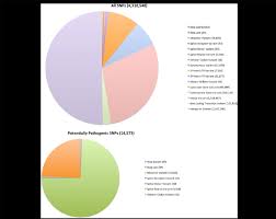 Classification Of Snps By Sequence Ontology Term The Large