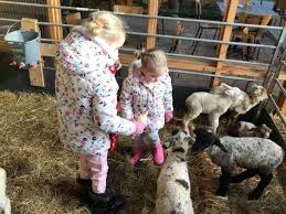 Dit alles speelt zich af in de nostalgische monumentale boerderij, de deel (stal), de wagenschuur en de hernieuwde. Naar De Boerderij Met Kinderen Altijd Een Goed Idee
