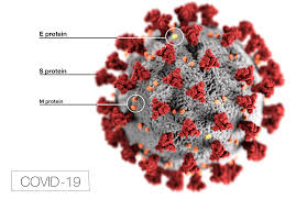 Patients sometimes show gastrointestinal symptoms like diarrhoea, and researchers know that gut this is why some patients with covid19 may have git symptoms like nausea and vomiting and. Coronavirus Symptoms Stomach Pain Now Appearing As Only Symptom For Some Confirmed Cases Of Covid 19 Masslive Com