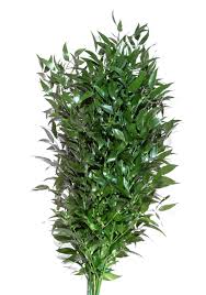 Check spelling or type a new query. Catalogue Cooperativa Agricola Cosmoflora