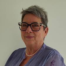 Can zinnia seeds be directly planted in the ground?