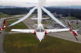 215,736 likes · 5,635 talking about this. The Snowbirds Return To Nova Scotia For One Summer Show Halifax Magazine