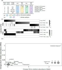 In this way, they'll be able to understand if they're under, over, or just right in paying. Dna And Rna Sip Reveal Nitrospira Spp As Key Drivers Of Nitrification In Groundwater Fed Biofilters Biorxiv