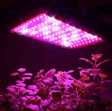 Advanced platinum series p900 review. Apollo Horticulture Gl100led 300w Led Grow Light Review