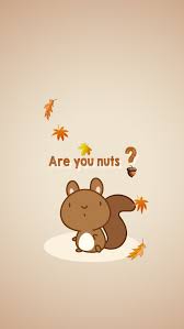 New Monthly Wallpaper It S Almost Autumn Are You Nuts Wallpaper Background Iphone Iphonebackgrounds Funny Wallpapers Funny Wallpaper Cute Wallpapers