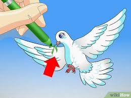 Time lapse of dove drawing tutorial. How To Draw A Dove 15 Steps With Pictures Wikihow