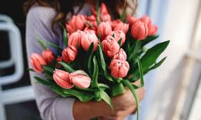 50% off teleflora holiday flower + $50 credit. Flower Delivery In Miami Groupon