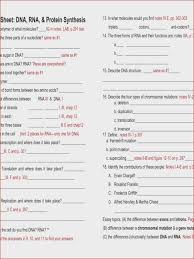 amino acid sequence chart 1 application letter