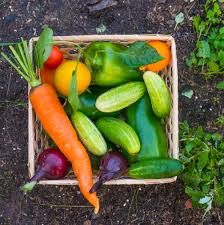 Space 36 to 60 inches apart, depending on type. Growing A Vegetable Garden Might Be Just What You Need During The Coronavirus Crisis Architectural Digest