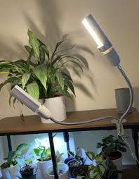 We did not find results for: House Plant Grow Lights Everything You Ever Wanted To Know Planet Houseplant