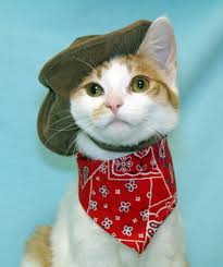 His dog is next to him. Cat Cowboy Kitty Portrait Cc 5 6 7 8 Dancing My Way To A Healthy Me