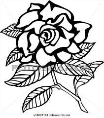 Clip Art Of Flower Gardenia Varieties U14091188 Search Clipart Illustration Posters Drawings And Eps Vector Graph Illustrations Posters Art Drawings