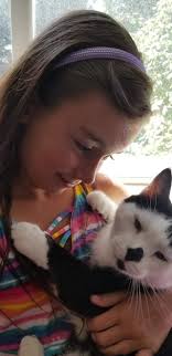 My Valentine #8 is none other than the studliest of all fosters…. The Fabio  of rescue cats, the don, the regal lion, the heartbreaker, our gentle giant  named Lionel 🦁 🧡 This