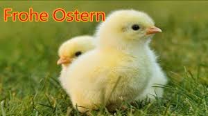 Maybe you would like to learn more about one of these? Ostergrusse 2021 Kostenlos Ich Wunsche Dir Frohe Ostern Grusse Gruss Zu Ostern Youtube