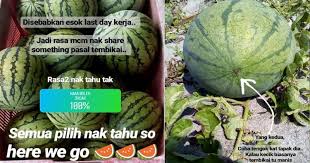 Cara jualan buah potong segar agar banyak pembeli | usaha kecil sukses assalamu'alaikum wr.wb. 4 Cara Nak Pilih Buah Tembikai Yang Manis Lepas Ni Confirm Takkan Frust Lagi Vanilla Kismis