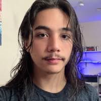 40+ "Aiden Pham" profiles