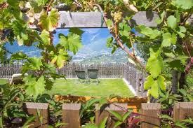 Meraner Herbst Traubenzeit Urlaub Auf Dem Bauernhof Bauern Und Hof