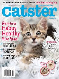 Also, all the major cat magazines recommend that cats be strictly indoor pets, unless you are far into the country. Catster Magazine Subscription Discount Magazines Com