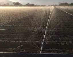 You can find drip irrigation hose and tubing here suitable for everything from the home garden to commercial farms and vineyards. Single Irrigation Sprinkler Hose A Flat Hose With Tiny Pores For Micro Irrigation Or Drip Aj 101 Taiwantrade Com