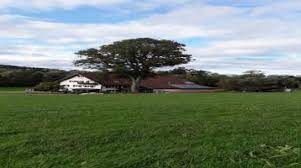 Jetzt können sie zusätzlich ihre persönliche suchanzeige in isny im allgäu für ein haus zum kaufen. Haus Kaufen Isny Im Allgau Hauser In Isny Im Allgau Zum Kauf