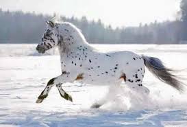 تذكر دائما انك لست