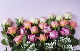 Maybe you would like to learn more about one of these? Wallpaper Greens Roses A Lot Beautiful Images For Desktop Section Cvety Download
