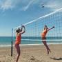 How much does a Volleyball Net cost from cobravolleyball.com