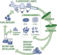 Maybe you would like to learn more about one of these? Fluorescent Lamp Recycling From A Businesses Clackamas County