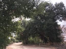 14 reviews of whiting ranch wilderness park the whiting ranch wilderness park is for more advanced hikers. Hiking Trails Near Whiting Ranch Wilderness Park