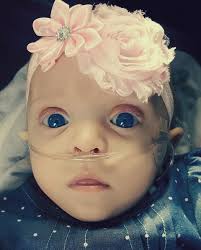 Northern Lights Foundation