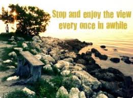 Quotes Enjoy The View Quotesgram