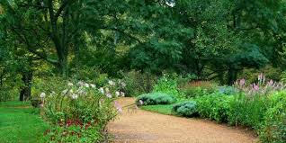 Choose a service to learn more. Tree And Shrub Care Guide For Dallas Gecko Green