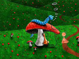 Download and use 100,000+ desktop background stock photos for free. Mushroom Wallpapers Hd Download Free Backgrounds