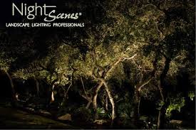 Austin And Central Texas Low Voltage Landscape Lighting Can Last For Many Years Nightscenes Landscape Lighting