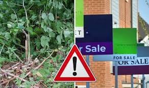 In fact, it grows so quickly that knotweed is difficult to contain and spreads easily from one site to another. Japanese Knotweed How Much Can Japanese Knotweed Knock Off Price Of Your Home Express Co Uk