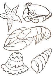 coloriage coquillages marins facile printemps