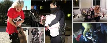 I continue to love you ryan fischer, you risked your life to fight for our family. Lady Gaga S Dog Walker Ryan Fischer Shot 4 Times By Dognappers Who Stole Her Bulldogs As Star Offers 500k Reward Women S World Today