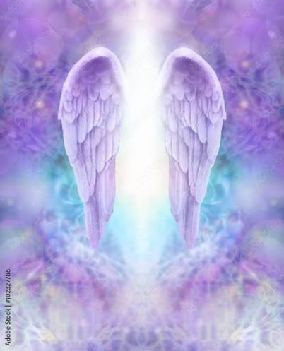 Photography Poster Lilac Angel Wings - beautiful pair of lilac Angel wings  with white light flowing | Wall Art | Europosters
