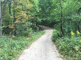 Maybe you would like to learn more about one of these? Deer Grove Forest Loop Hiking Trail Inverness Illinois